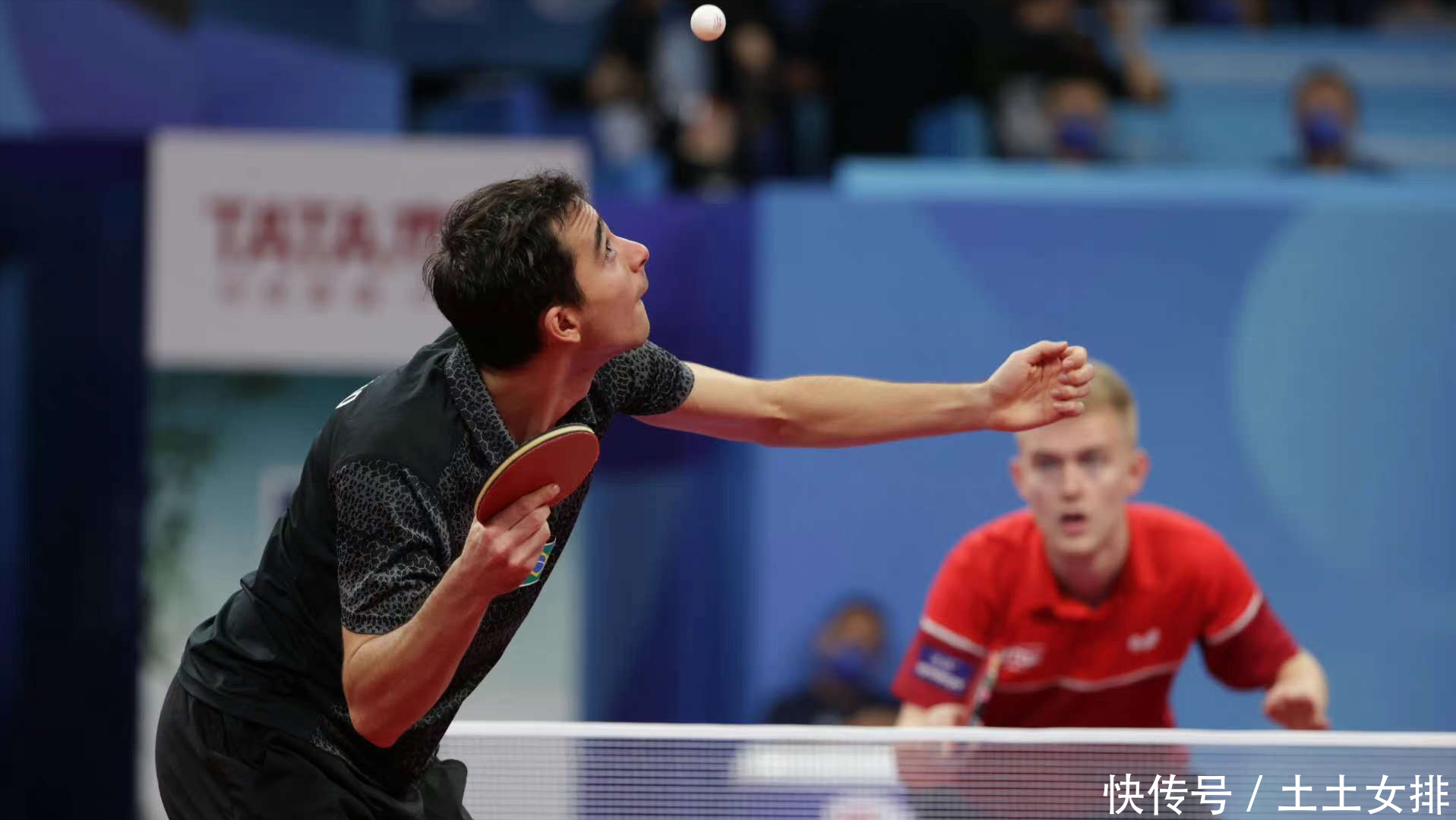 天然林保护 天然林保护