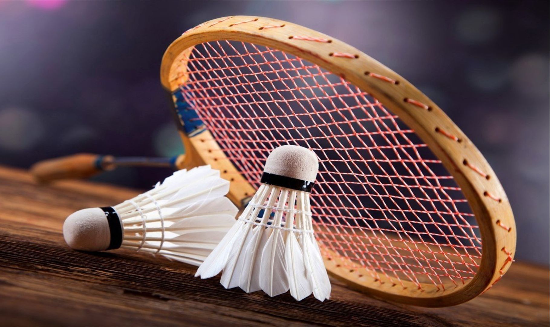 可以用于 可以用于