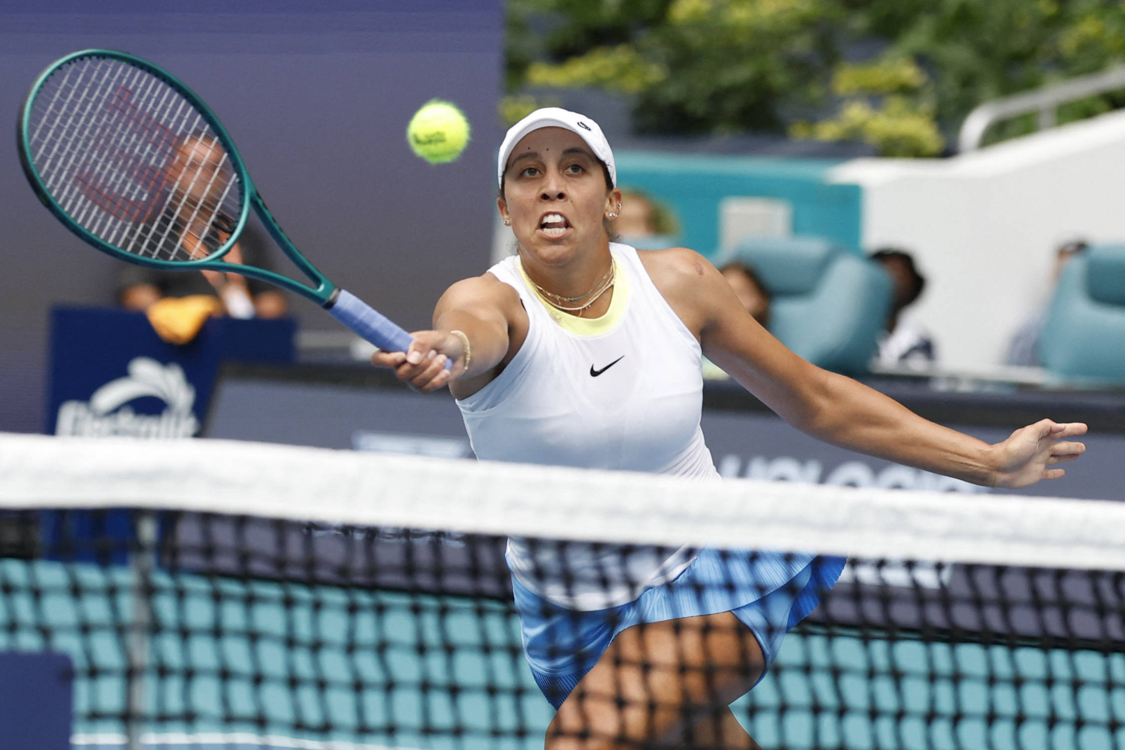 杨瀚森的加 杨瀚森的加