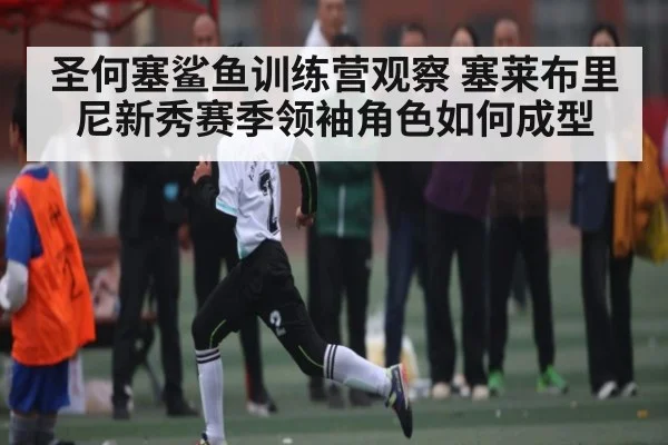 圣何塞鲨鱼训练营观察 塞莱布里尼新秀赛季领袖角色如何成型